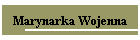 Marynarka Wojenna